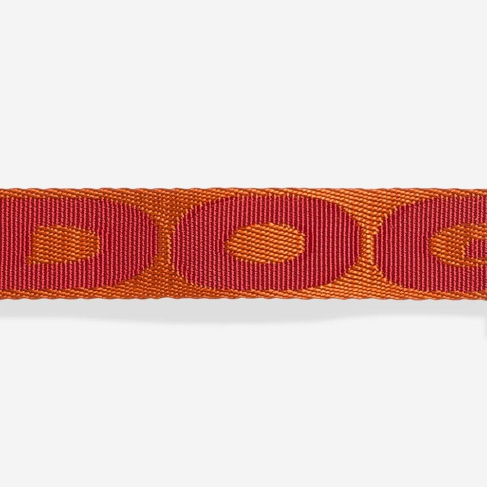 NEW GIBSON Orange Red Blue Large Dog Adjustable $85 Collar Leash 4 Ft Gift Set - Picture 10 of 14